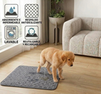 Empapador para perros DoggysLand ™