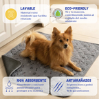 Empapador para perros DoggysLand ™