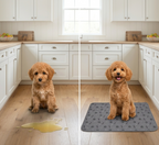 Empapador para perros DoggysLand ™